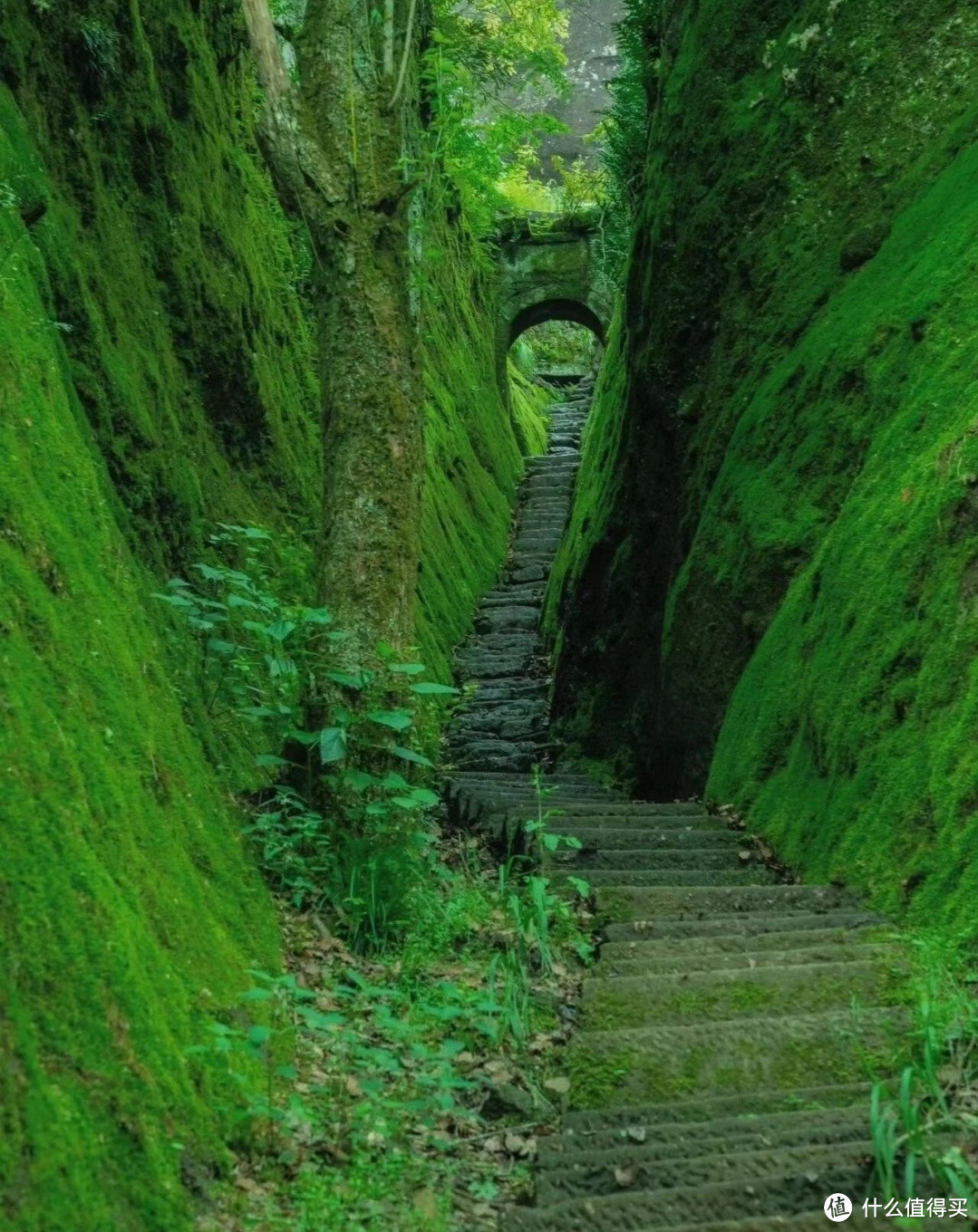 《国家地理》推荐！比起厦门，我更爱这座美丽低调的小城！